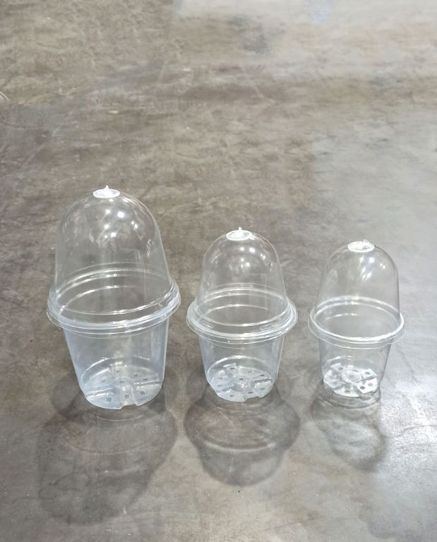 Pots de Semis transparent ronds avec Couvercles dôme