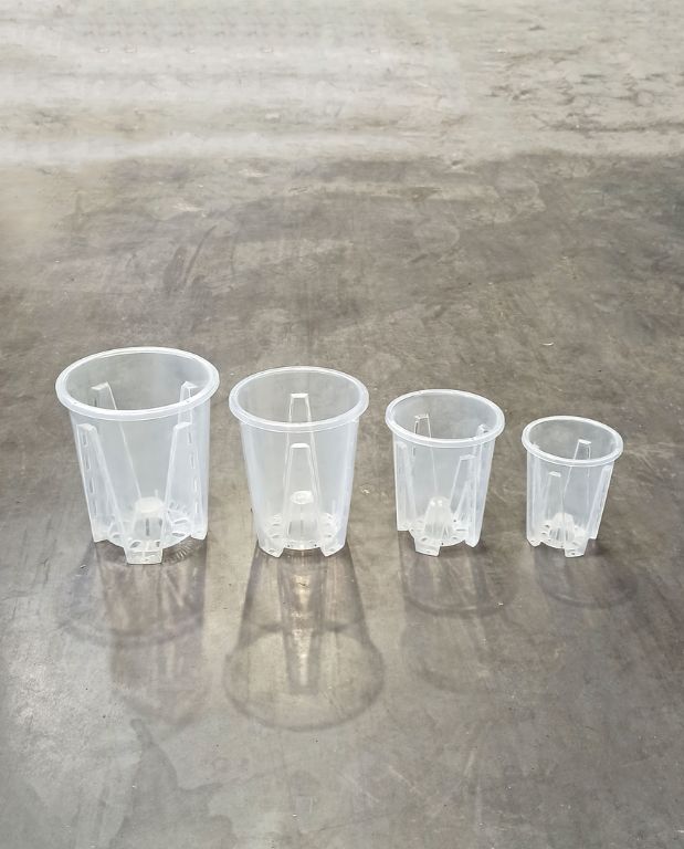Pot Transparent profond pour Aracées – Parois Micro-Perforées