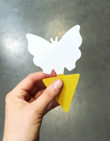 pièges jaunes englués papillon