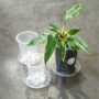 Soucoupes Transparentes Rigides pour Plantes