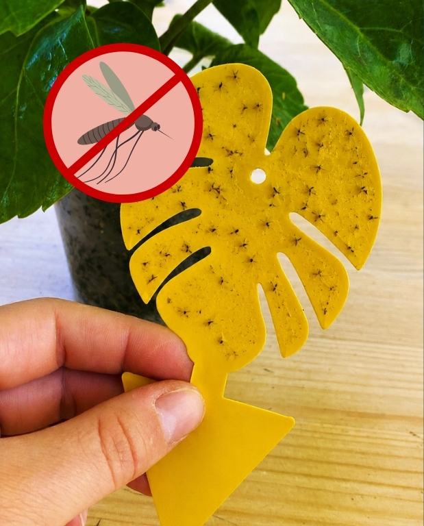 Pièges Jaunes Englués Anti-Mouches du Terreau, Sciarides, Pucerons et Insectes Volants