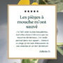 Pièges Jaunes Englués Anti-Mouches du Terreau, Sciarides, Pucerons et Insectes Volants