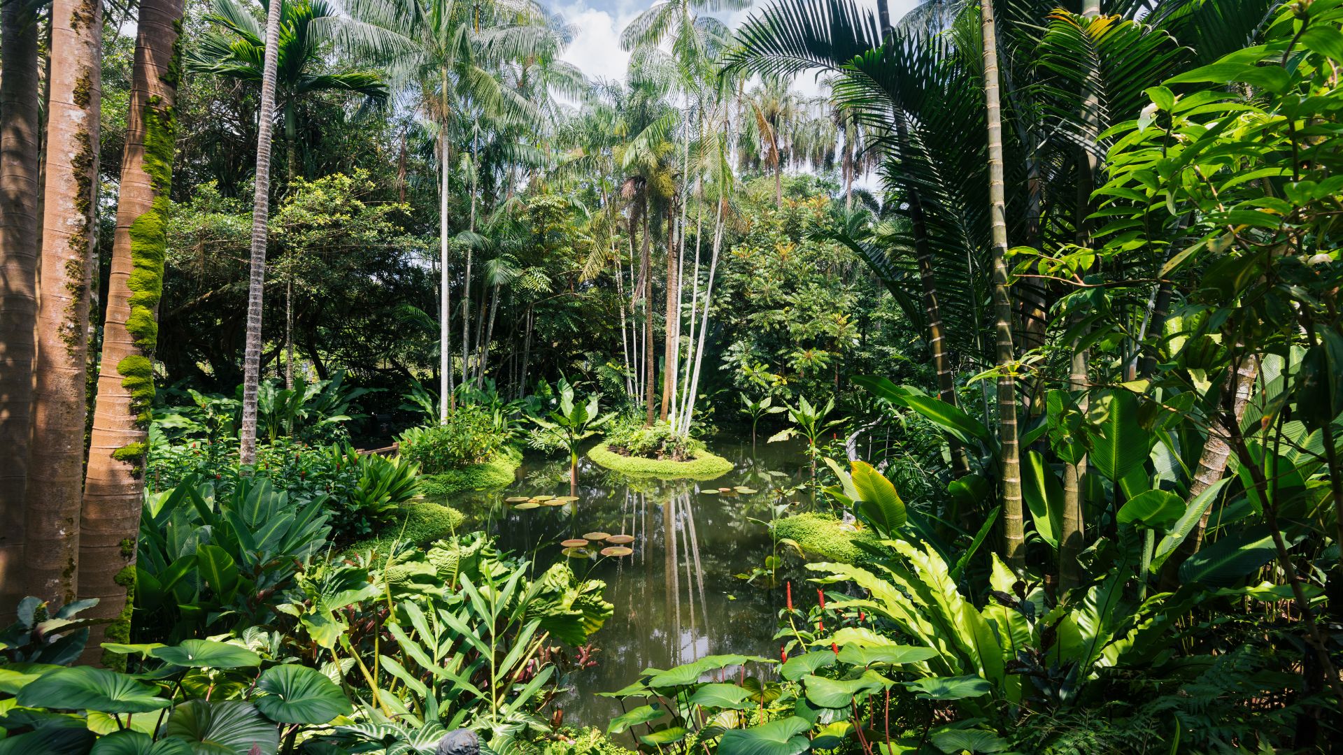 5 plus beaux jardins botaniques en Europe