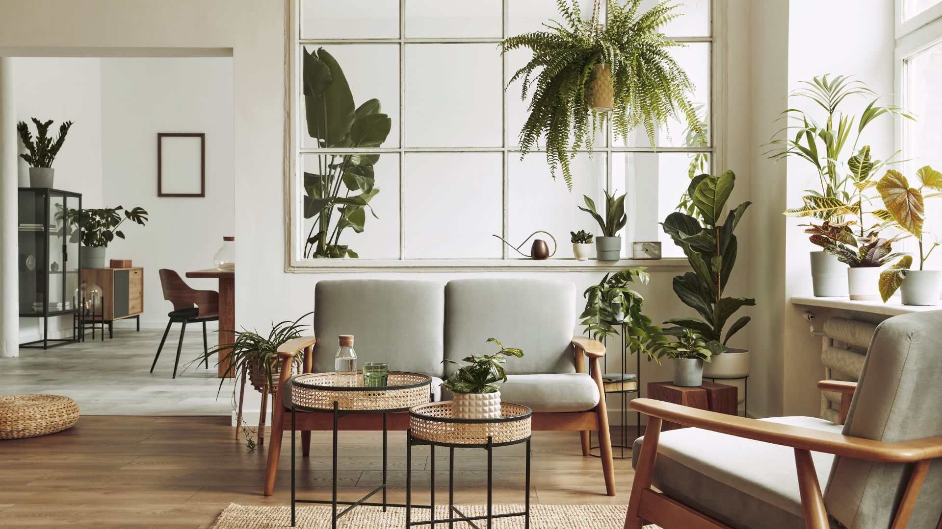 plantes tendance rentrée 2025