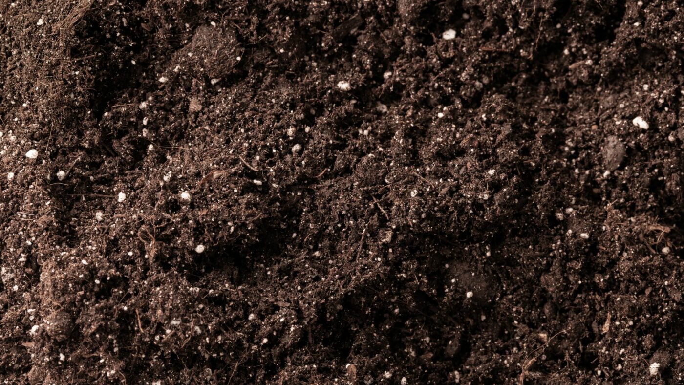 Terreau ou Substrat ? Lequel choisir et les différences