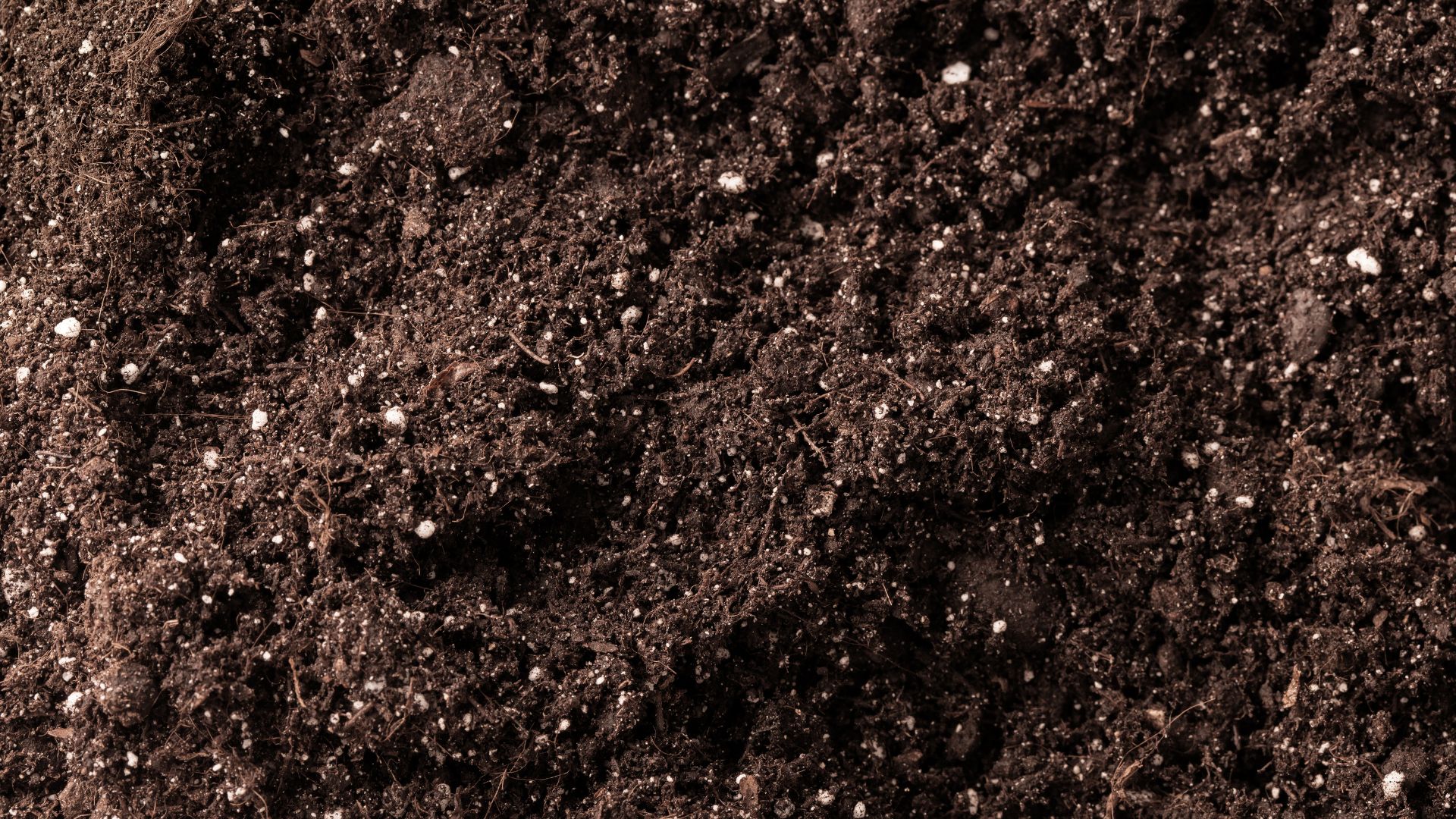 Terreau ou Substrat ? Lequel choisir et les différences