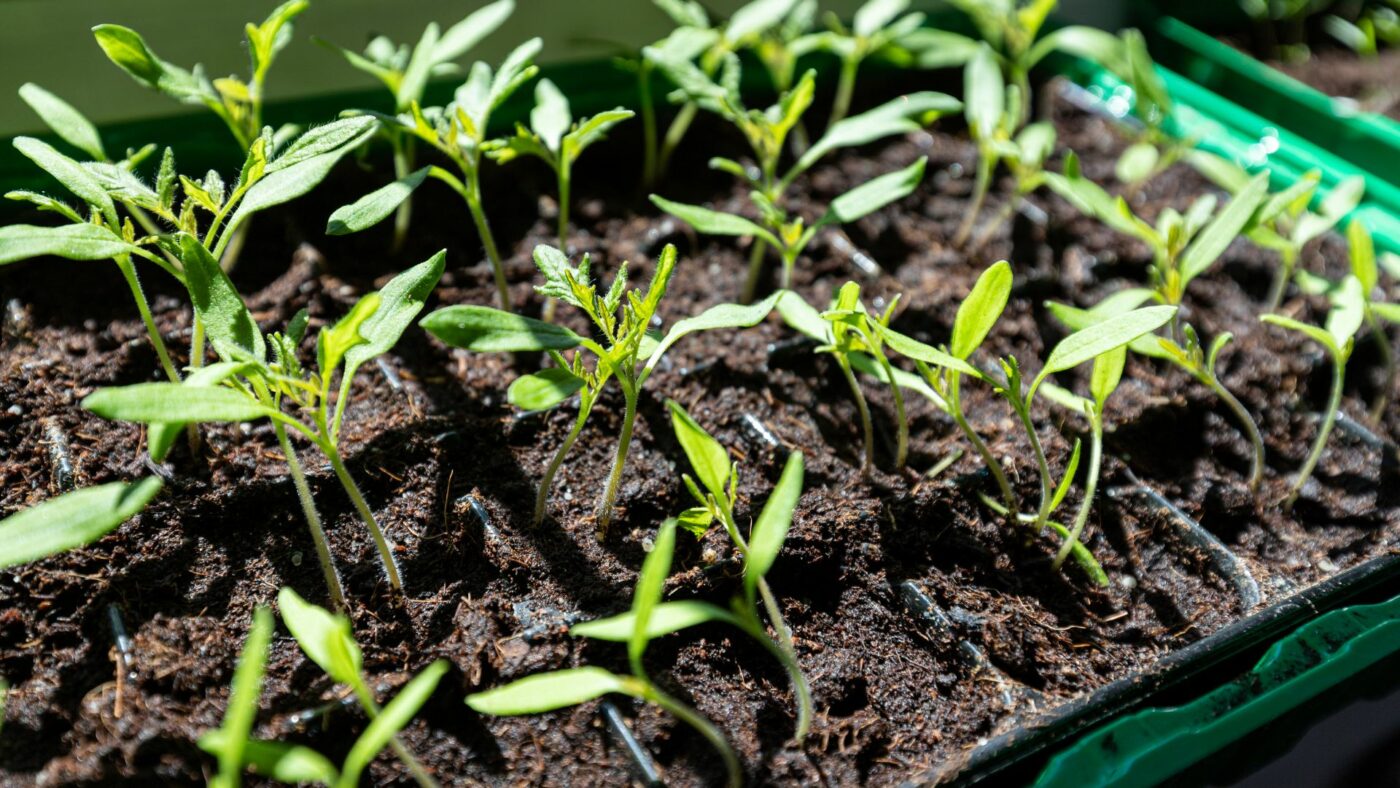 DIY : Comment créer sa boîte de propagation
