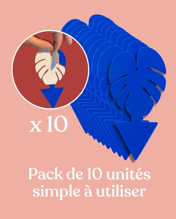 10 Pièges Bleus Englués Anti-Thrips – Pièges Chromatiques