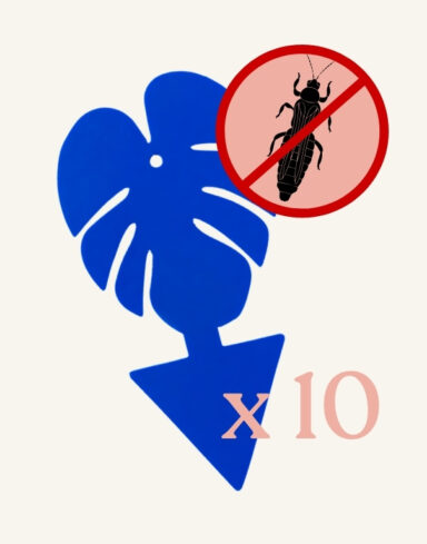 10 Pièges Bleus Englués Anti-Thrips – Pièges Chromatiques