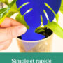 10 Pièges Bleus Englués Anti-Thrips – Pièges Chromatiques