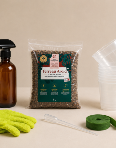 coffret rempotage et soin des plantes