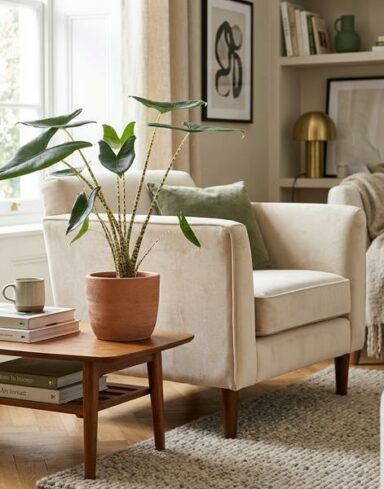 Alocasia Zebrina – Ø 21 cm – H 70 – 75 cm alternative