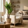 Yucca Elephantipes - Pot de 21cm - Hauteur 80 - 90cm