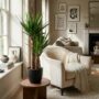 Yucca Elephantipes - Pot de 21cm - Hauteur 80 - 90cm