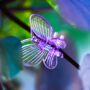 Pinces Papillon pour plante X10 - Clips tuteur - Support pour Plantes grimpantes