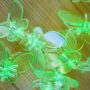 Pinces Papillon pour plante X10 - Clips tuteur - Support pour Plantes grimpantes