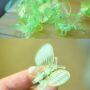 Pinces Papillon pour plante X10 - Clips tuteur - Support pour Plantes grimpantes