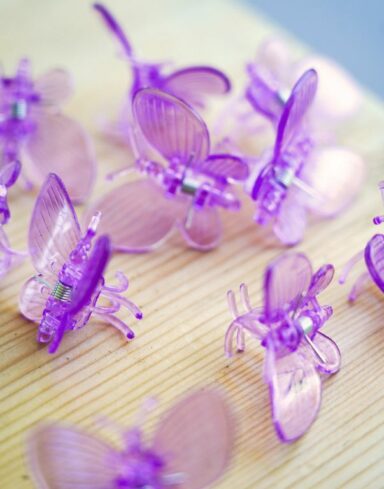 Pinces Papillon pour plante X10 - Clips tuteur - Support pour Plantes grimpantes
