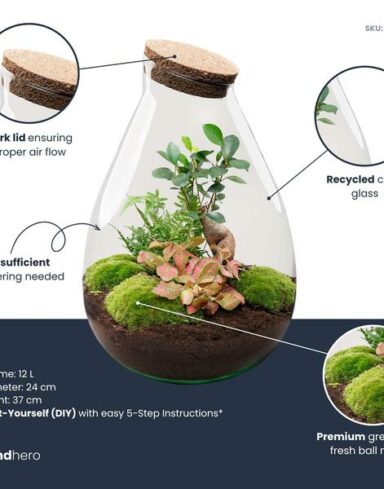 Kit DIY Terrarium – Drop XL Bonsai &lsquo;red&rsquo; – Ø24cm H37cm alternative