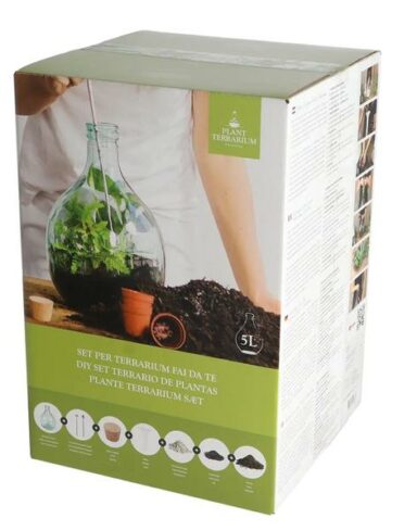 Kit Terrarium DIY en verre – Coffret Cadeau – Bouteille 5L avec terre et outils